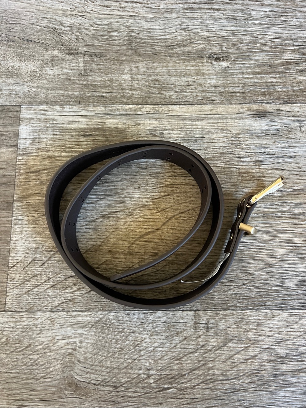 Status Anxiety Barely Moving Leather Belt In Chocolate And Gold — image 3 of 4